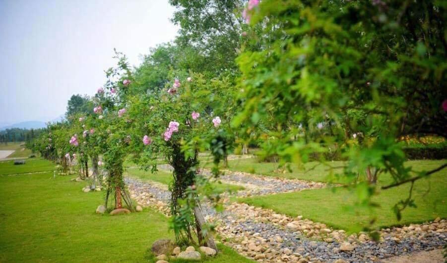Flamingos Dai Lai Resort - Luxury Ngoc Quang Eksteriør billede